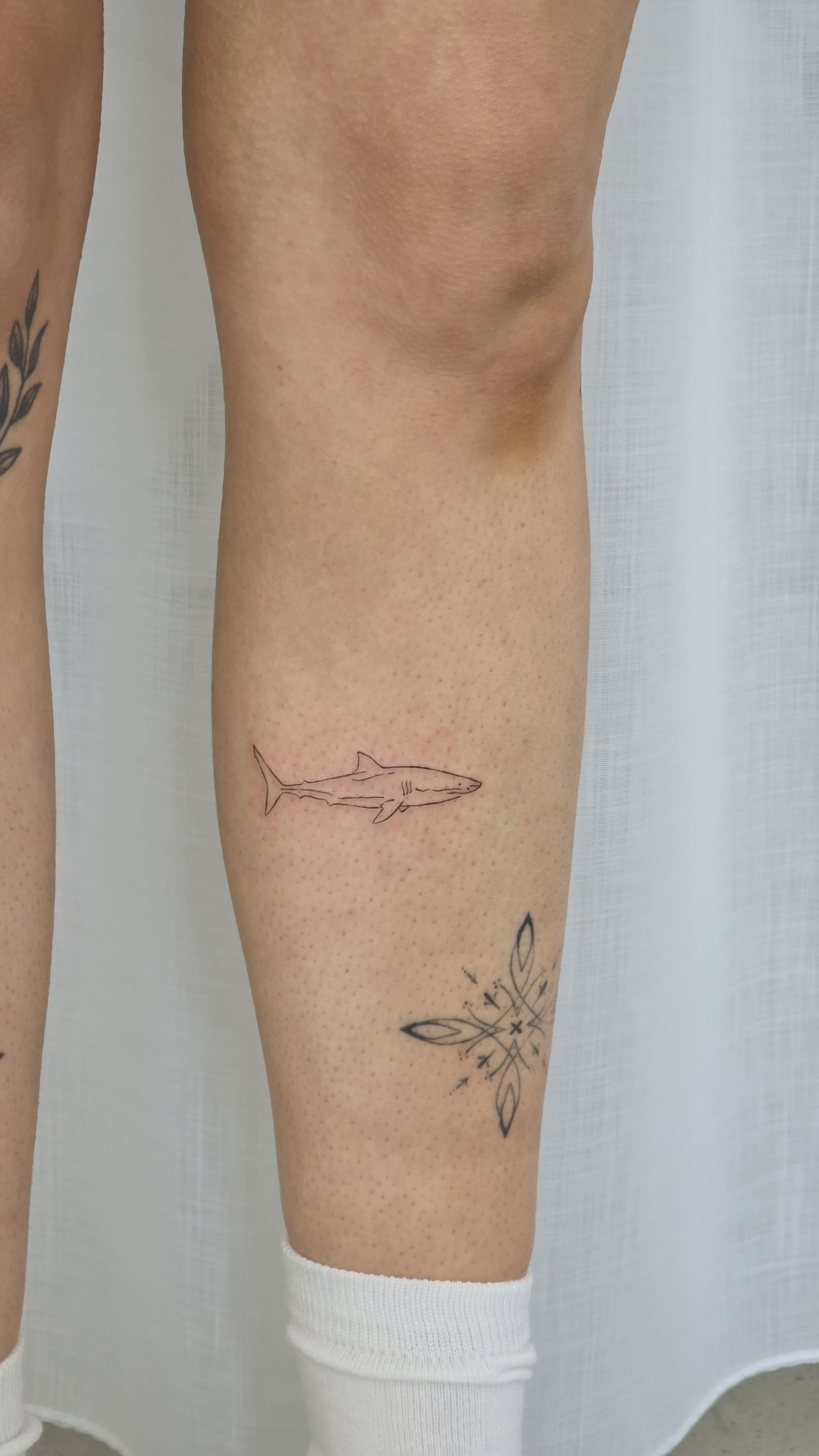 Fineline und Micro Realism Tattoos von Charlotte