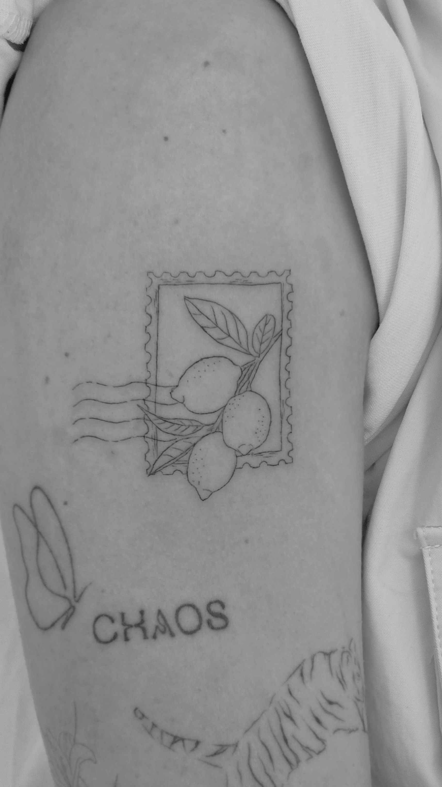 Fineline und Micro Realism Tattoos von Charlotte