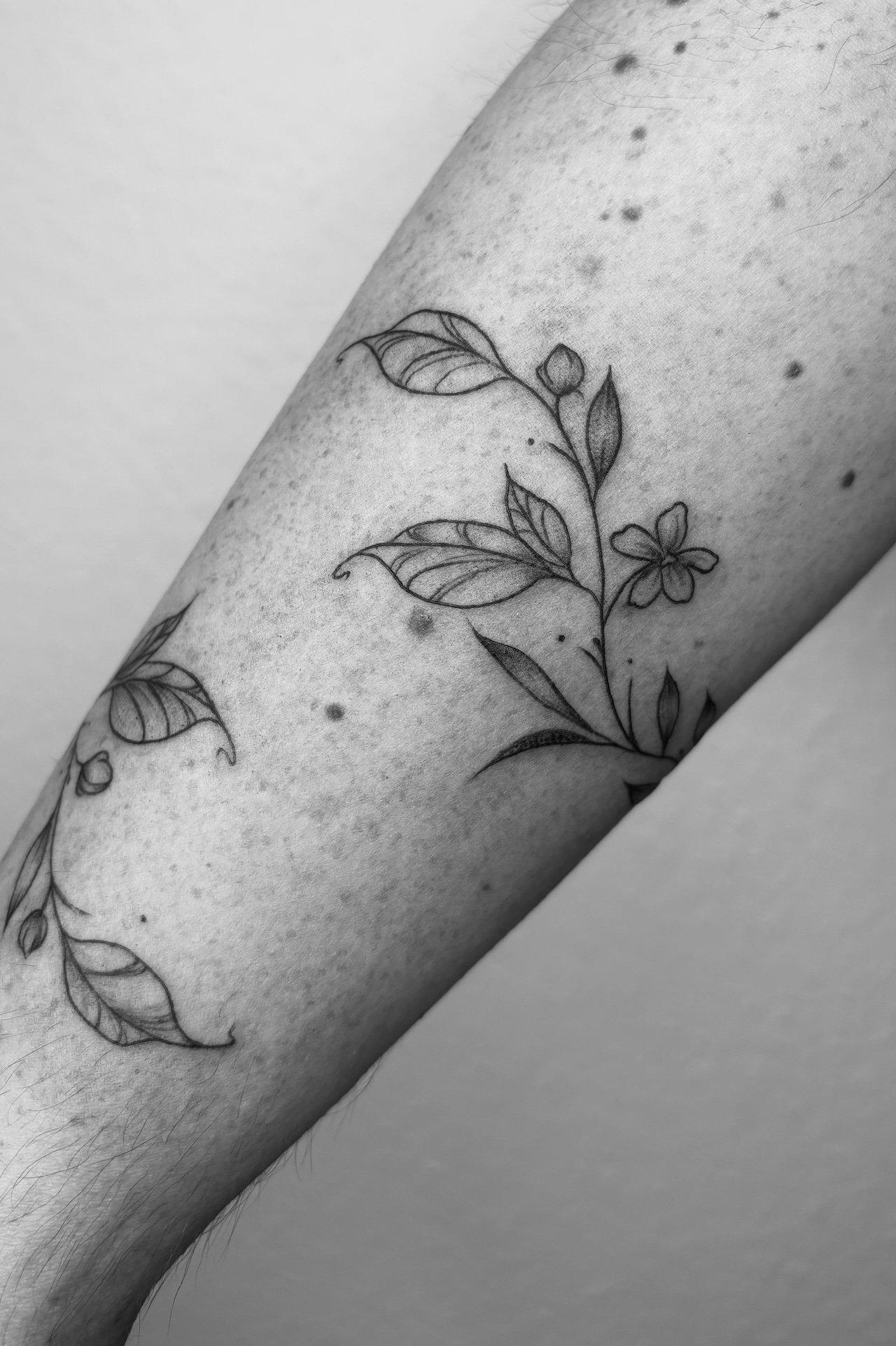 Tattoo-Bild