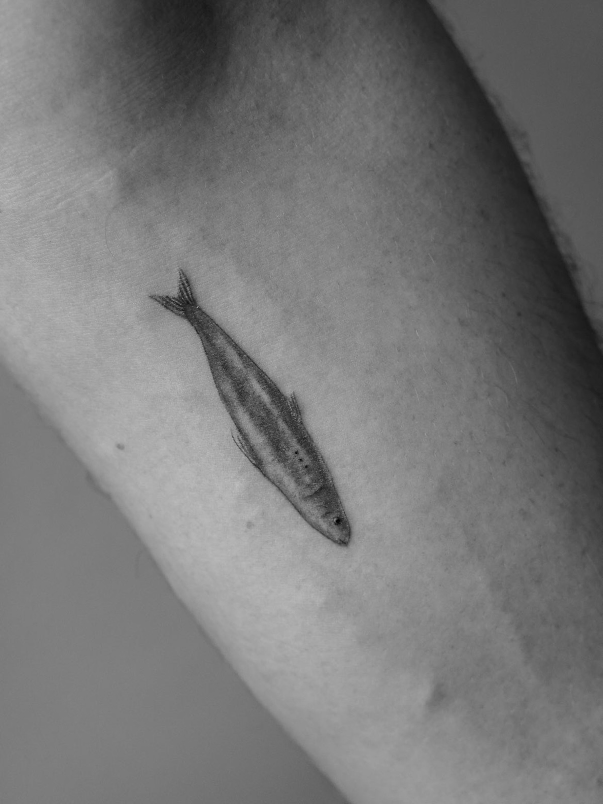 Fineline Tattoo