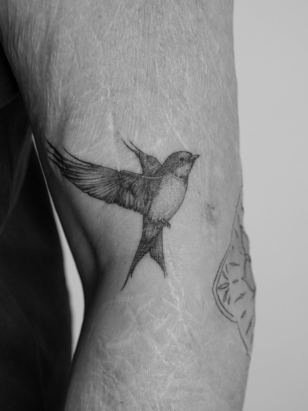 Fineline Tattoo
