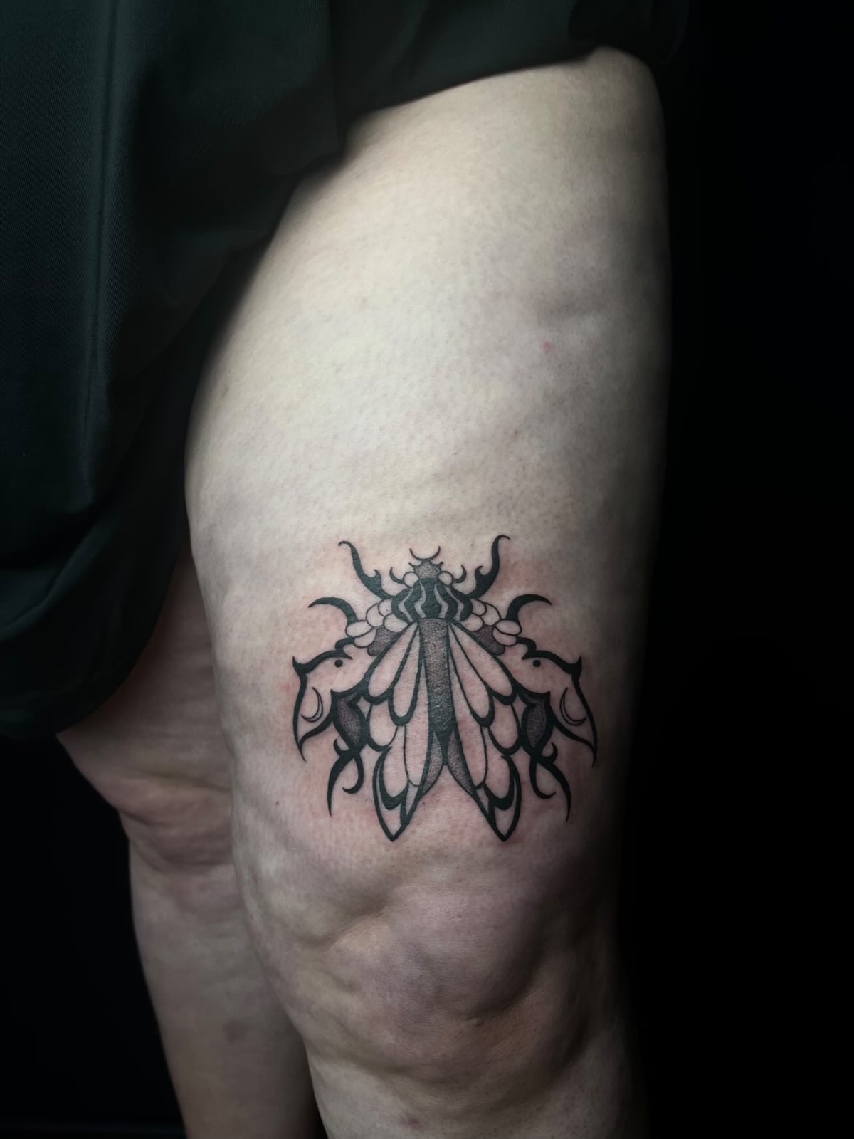 Dark Illustrativ Blackwork Tattoo